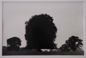 Image description is not available for 2002.013